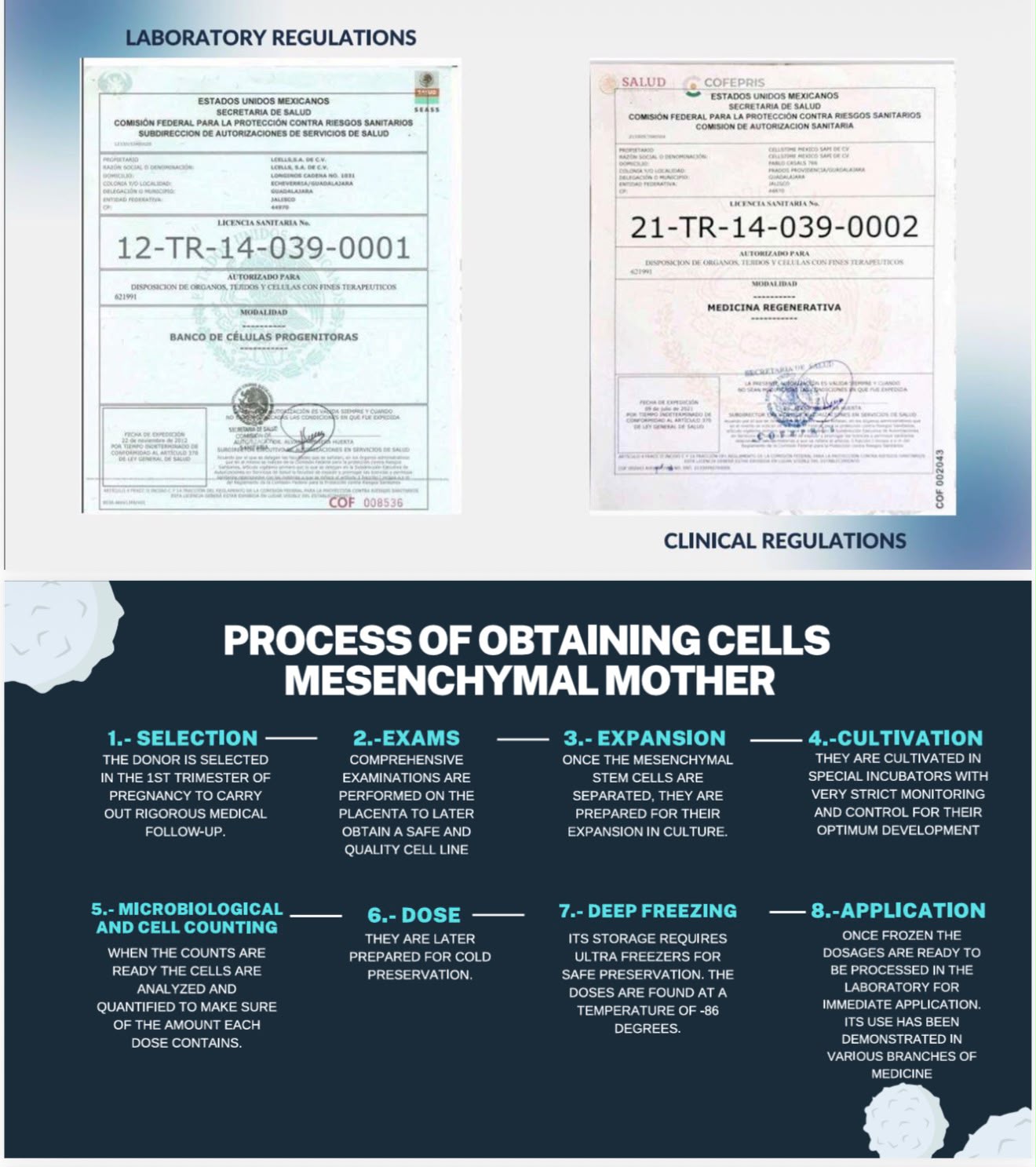Cellstime laboratory and clinical regulations and mesenchymal stem cell process
